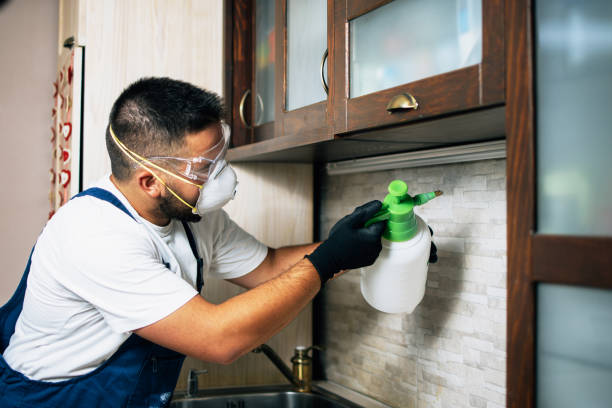 Best Pest Inspection Near Me  in Hartford City, IN